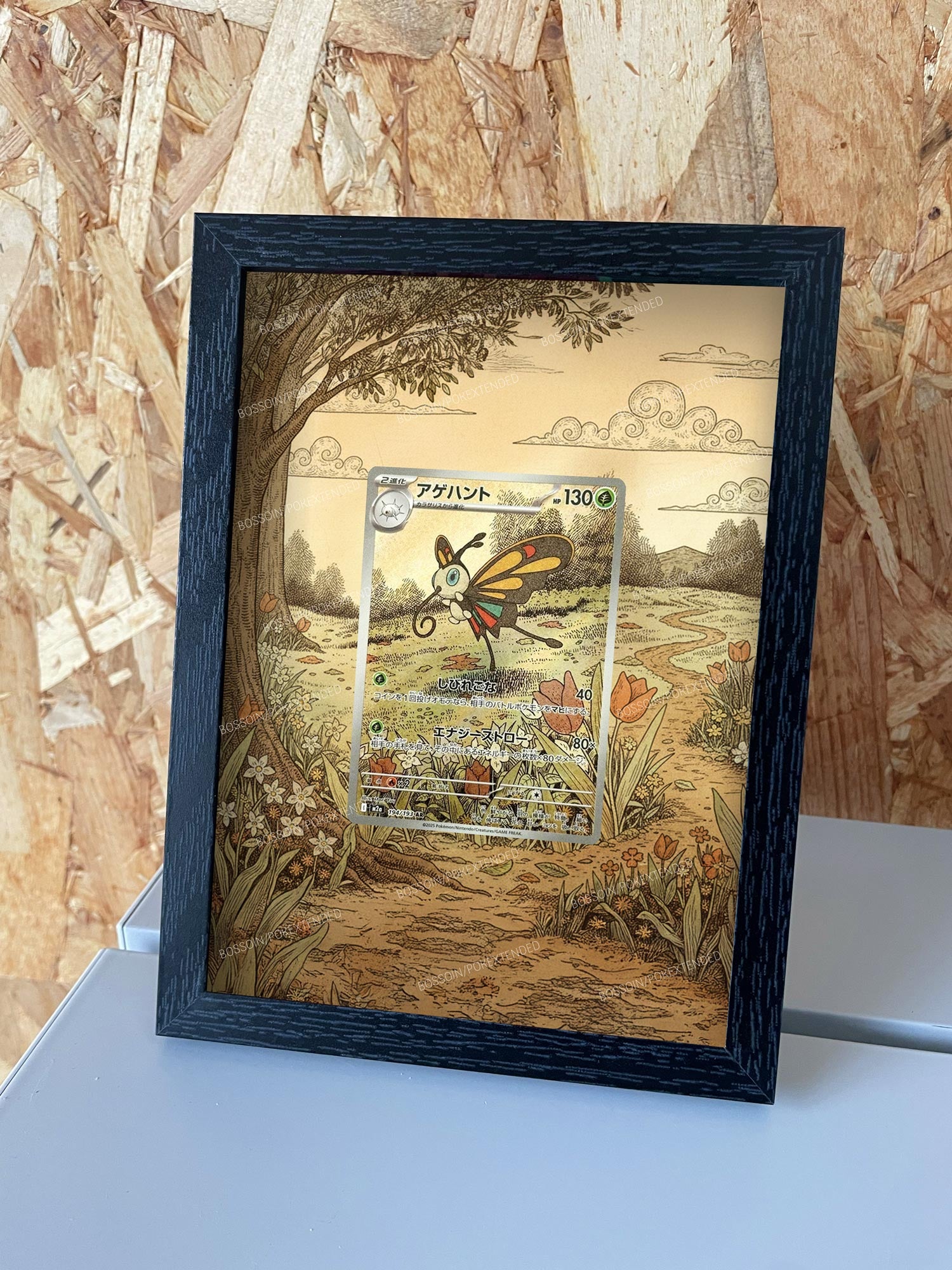 Pokemon frame ASC 219 /m2a 194 / Charmillon / Beautifly