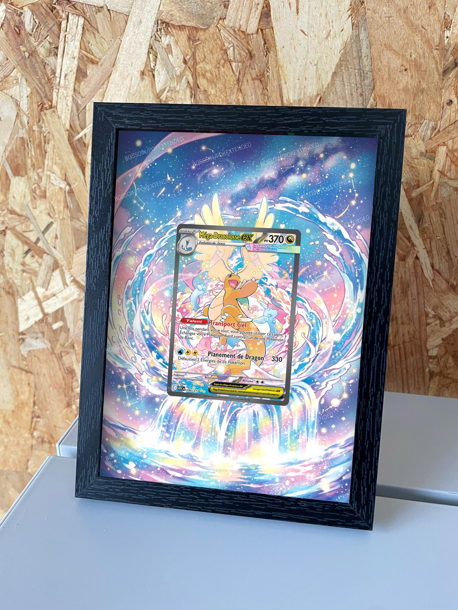 Pokemon Frame ASC 290 / m2a 246 / Mega Dracolosse / Mega Dragonite