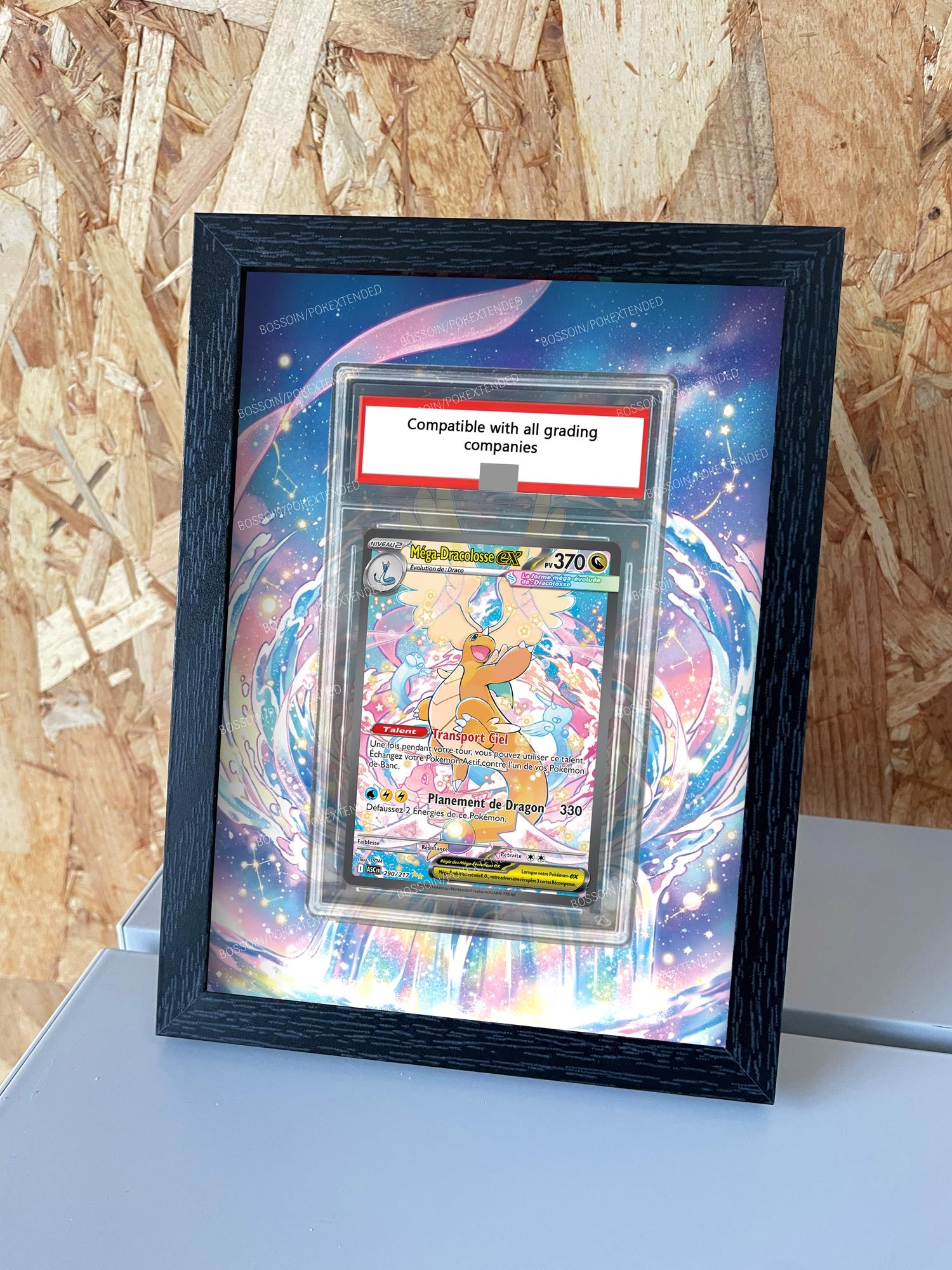 Pokemon Frame ASC 290 / m2a 246 / Mega Dracolosse / Mega Dragonite