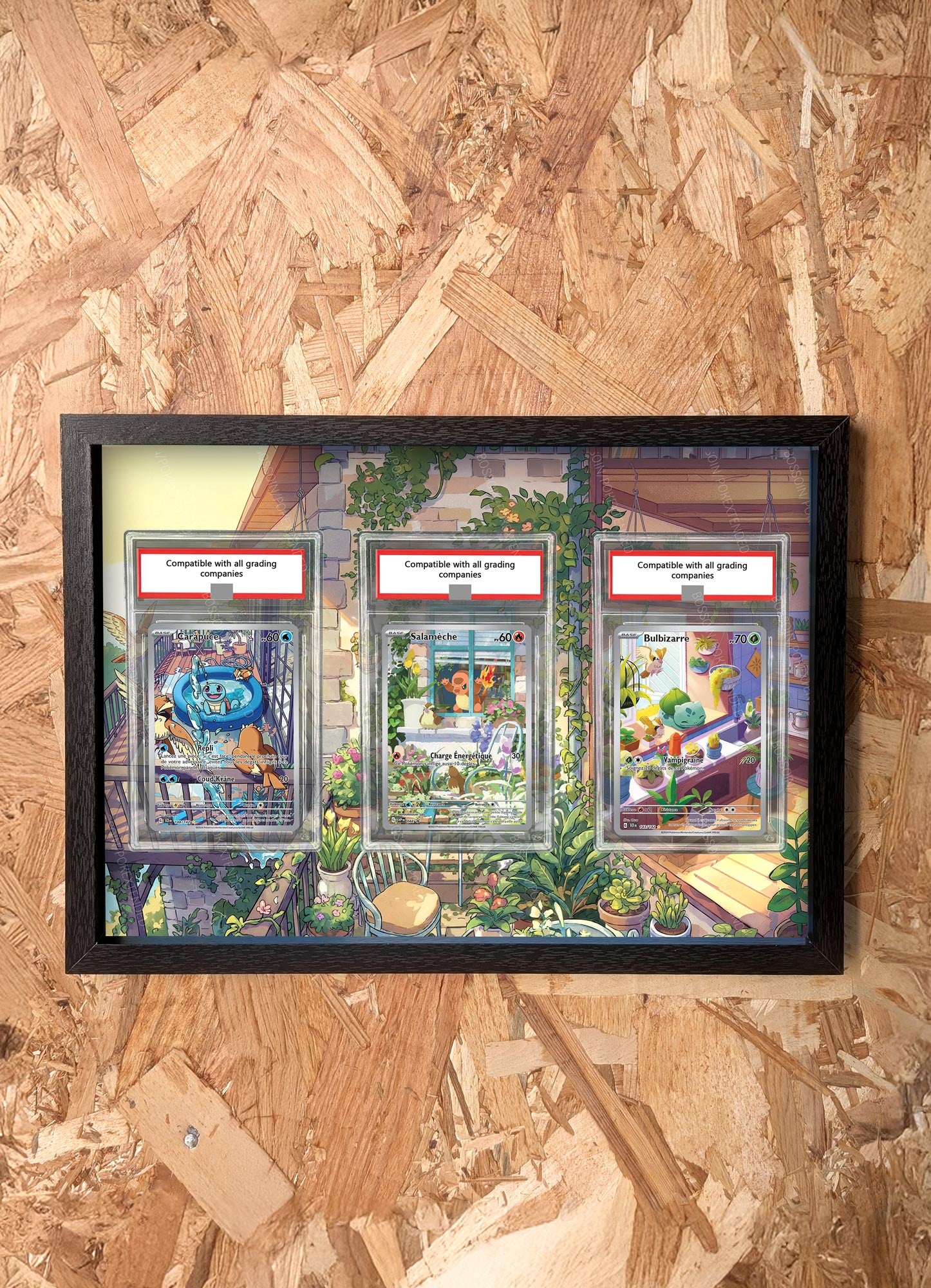 Pokémon Trio Frame SVP 044 SCR 148 SCR 143 / Charmander Bulbasaur Squirtle
