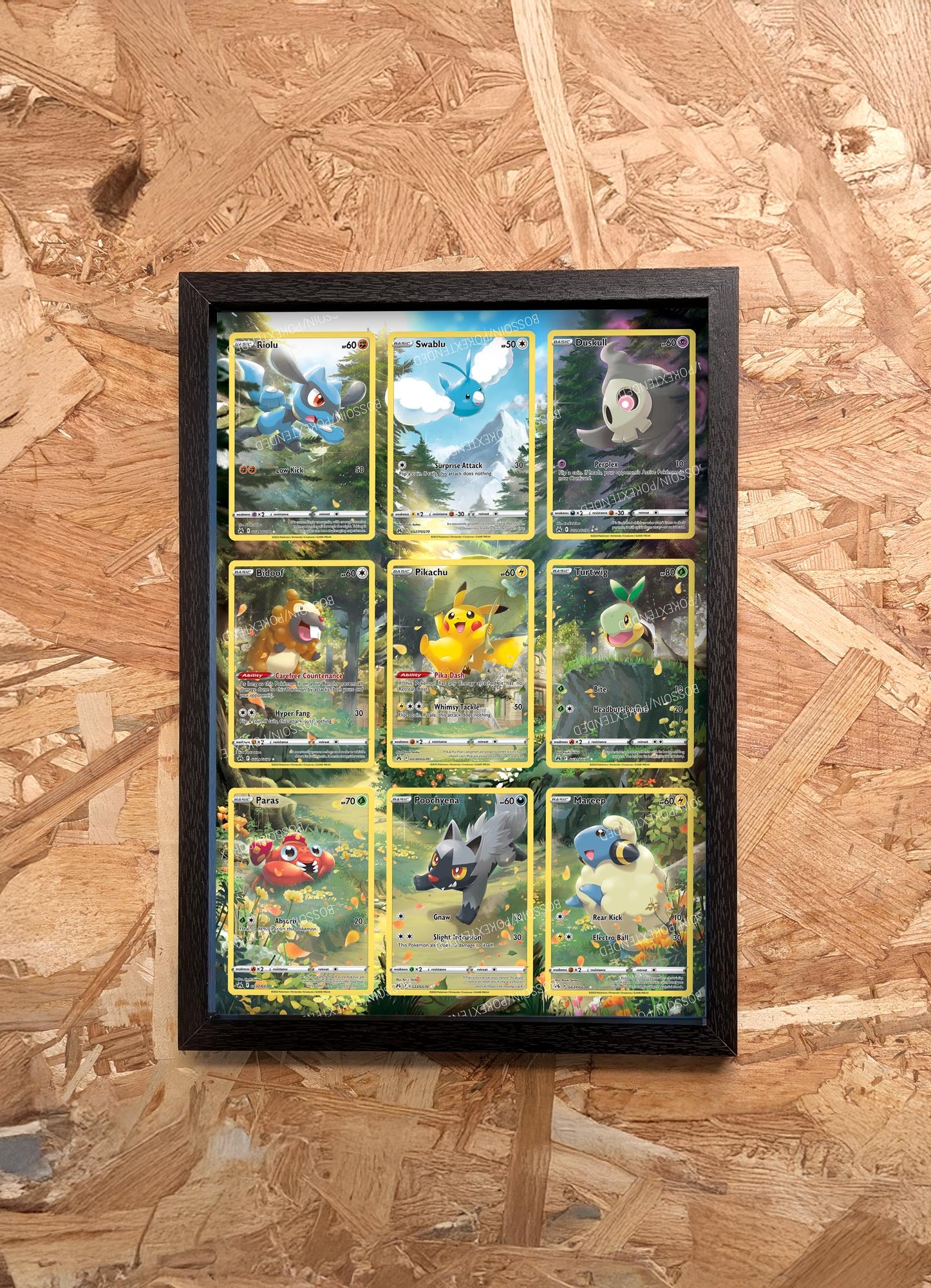 Riolu Frame, Tilton, Skelenox, Bidoof, Pikachu, Turtwig, Paras, Poochyena, Flaaffy, Zenith Surpême