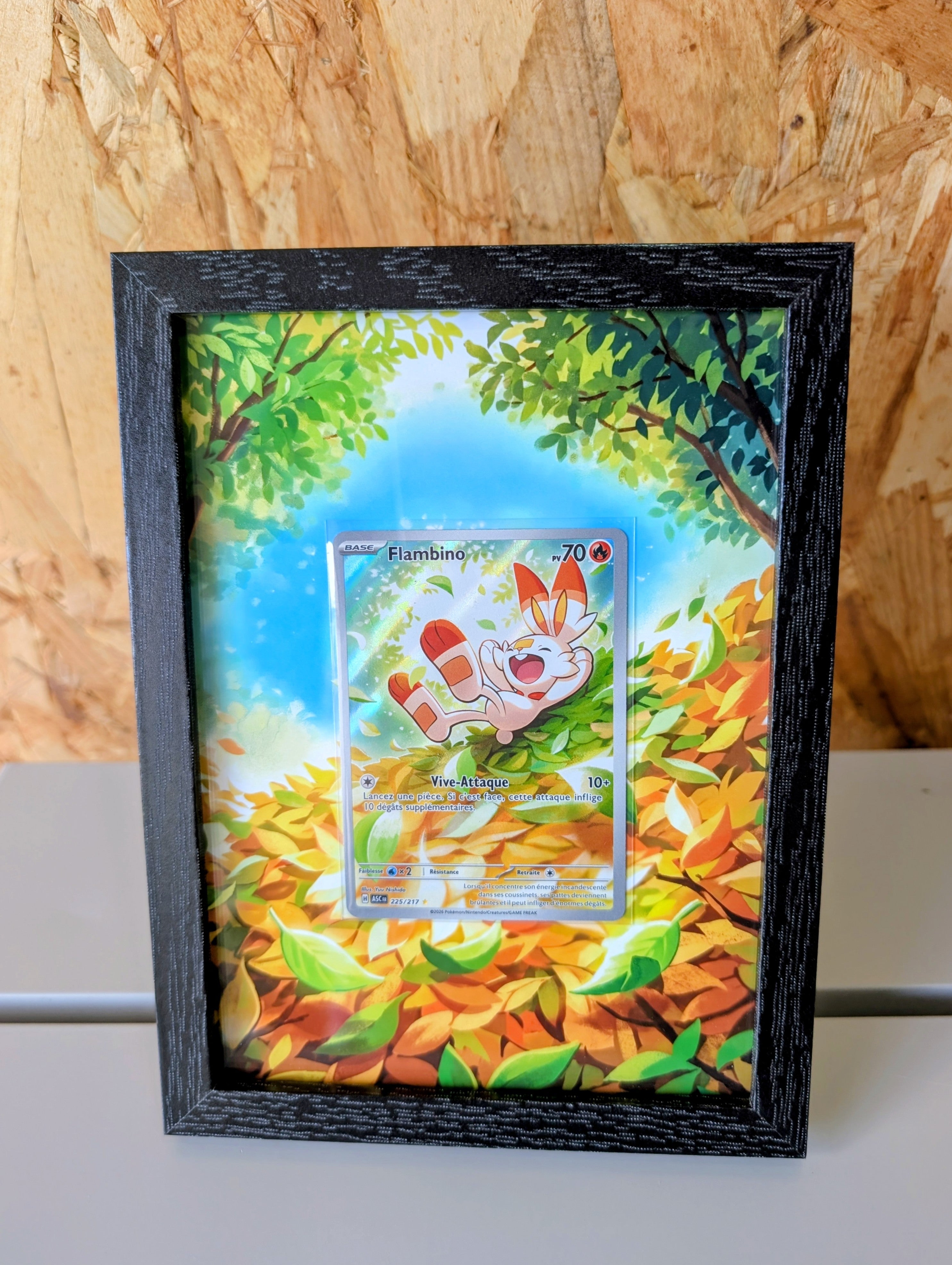 Cadre Pokemon ASC 225 / Flambino + Carte incluse [FR]
