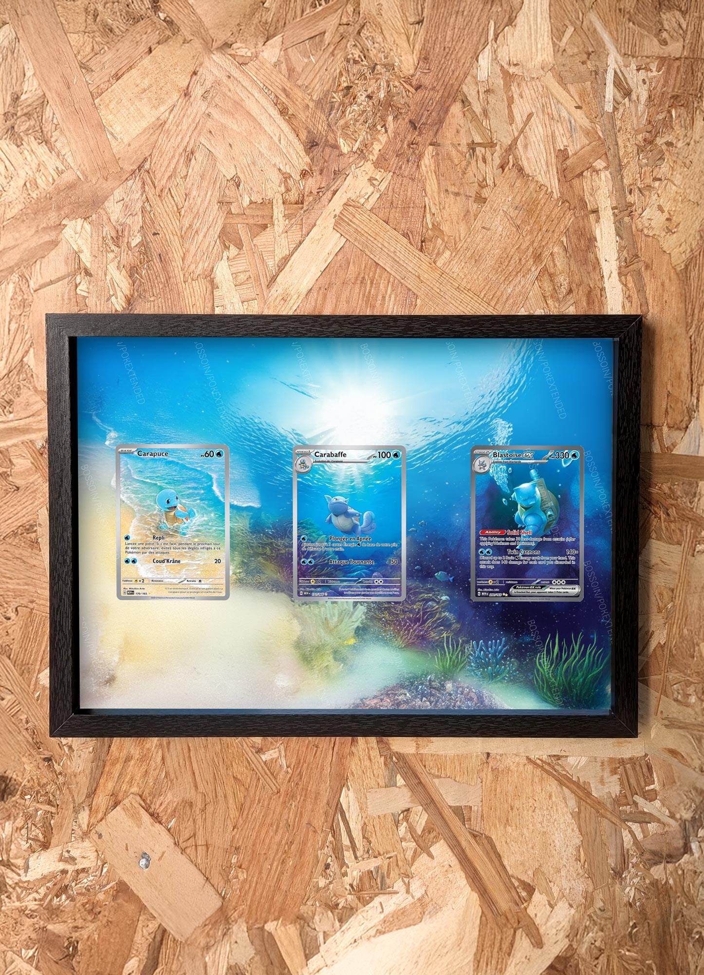 Pokemon Trio 151 Squirtle 170 Wartortle 171 Blastoise 200 Frame