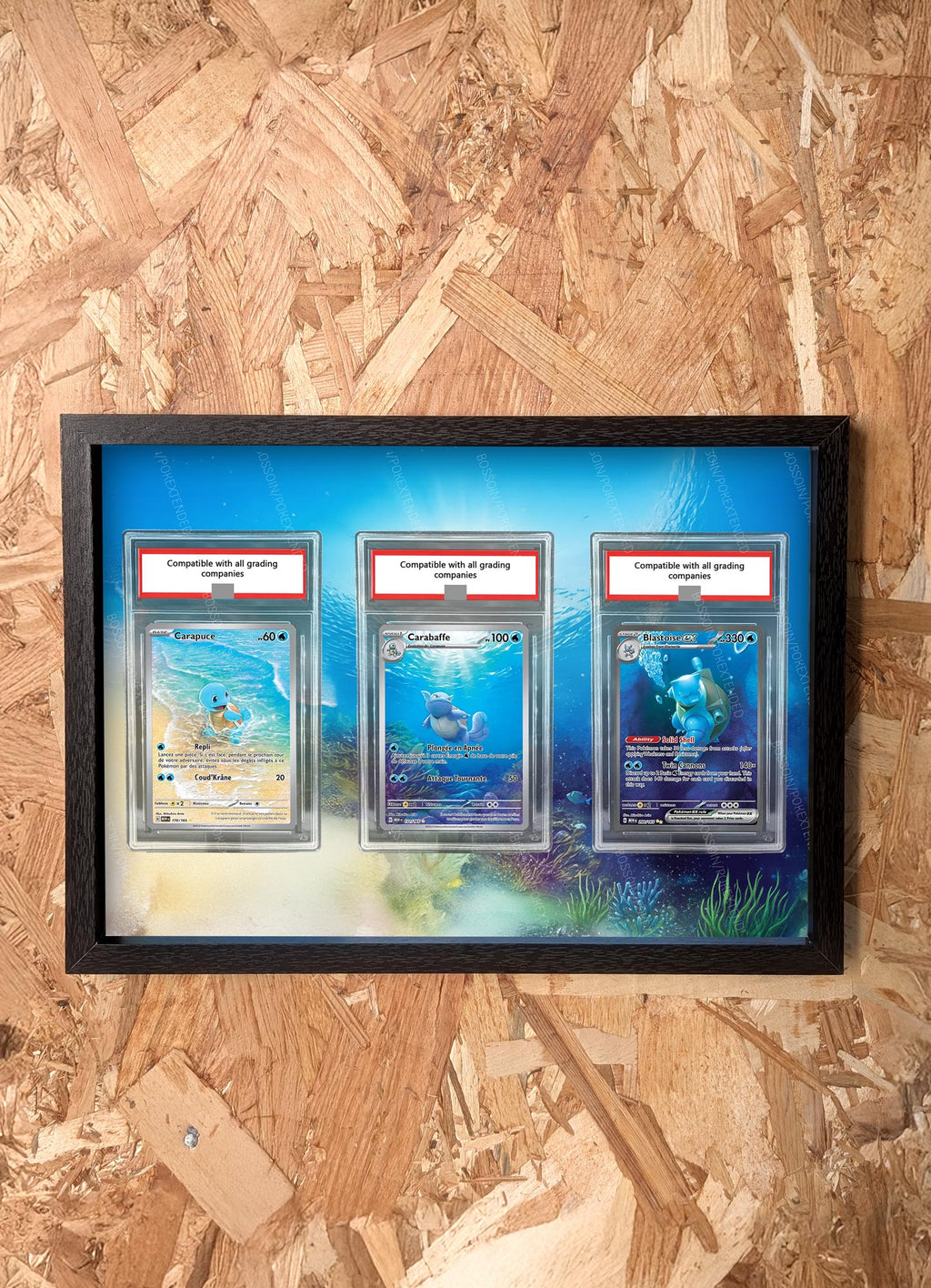 Cadre Pokemon Trio 151 Carapuce 170 Carabaffe 171 Tortank 200 / Squirtle Wartortle Blastoise